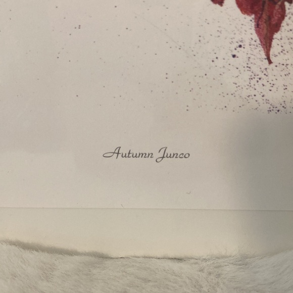 Cyndy Callog 1999 Autumn Junco Print - Picture 6 of 12